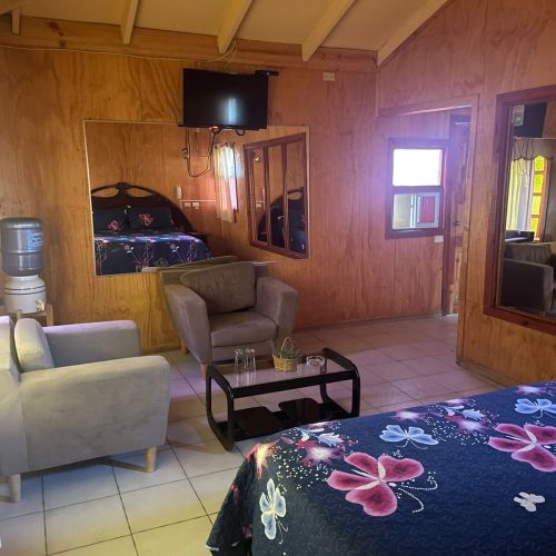 54d5ec4e-0067-49df-9197-ebfd4a25da61