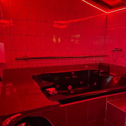 WhatsApp Image 2024-11-19 at 7.08.30 AM