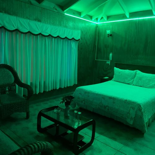 WhatsApp Image 2024-11-19 at 7.09.35 AM